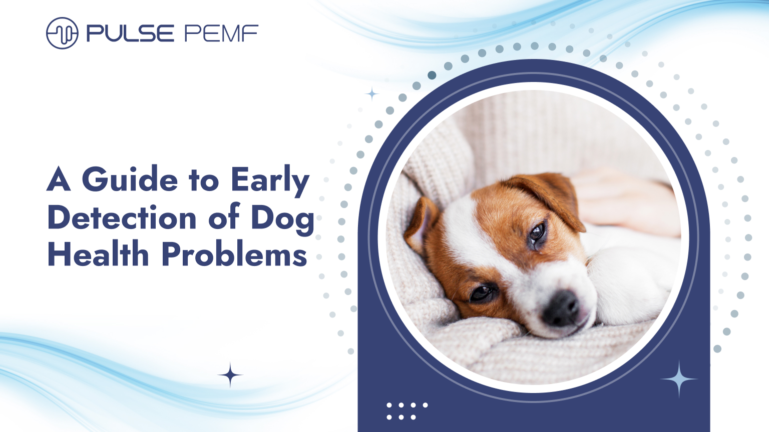 A Guide to Early Detection of Dog Health Problems