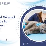 Essential Wound Care Tips for Pets After Surgery