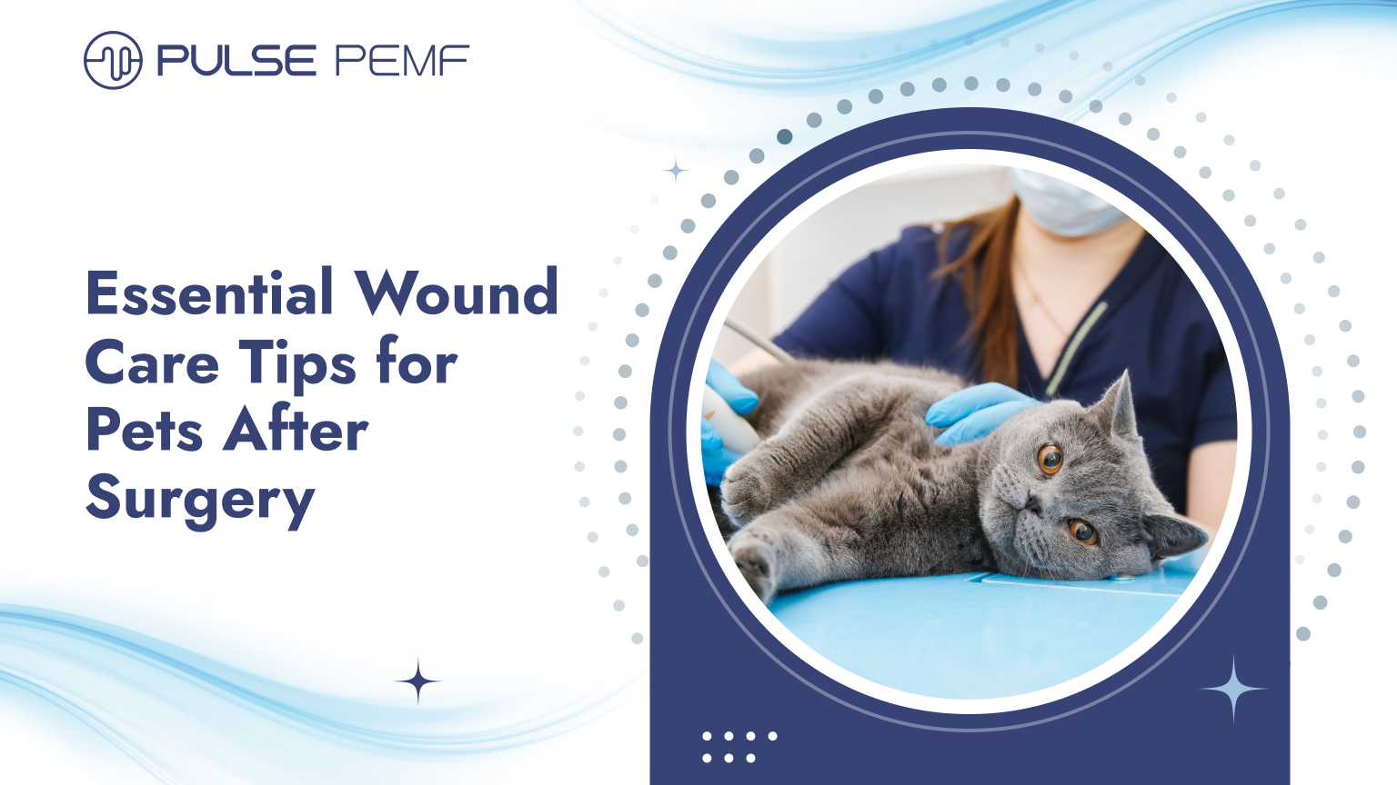 Essential Wound Care Tips for Pets After Surgery