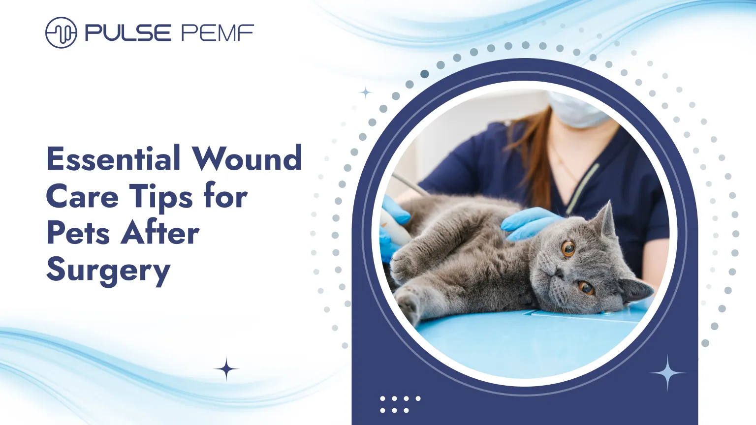 Essential Wound Care Tips for Pets After Surgery