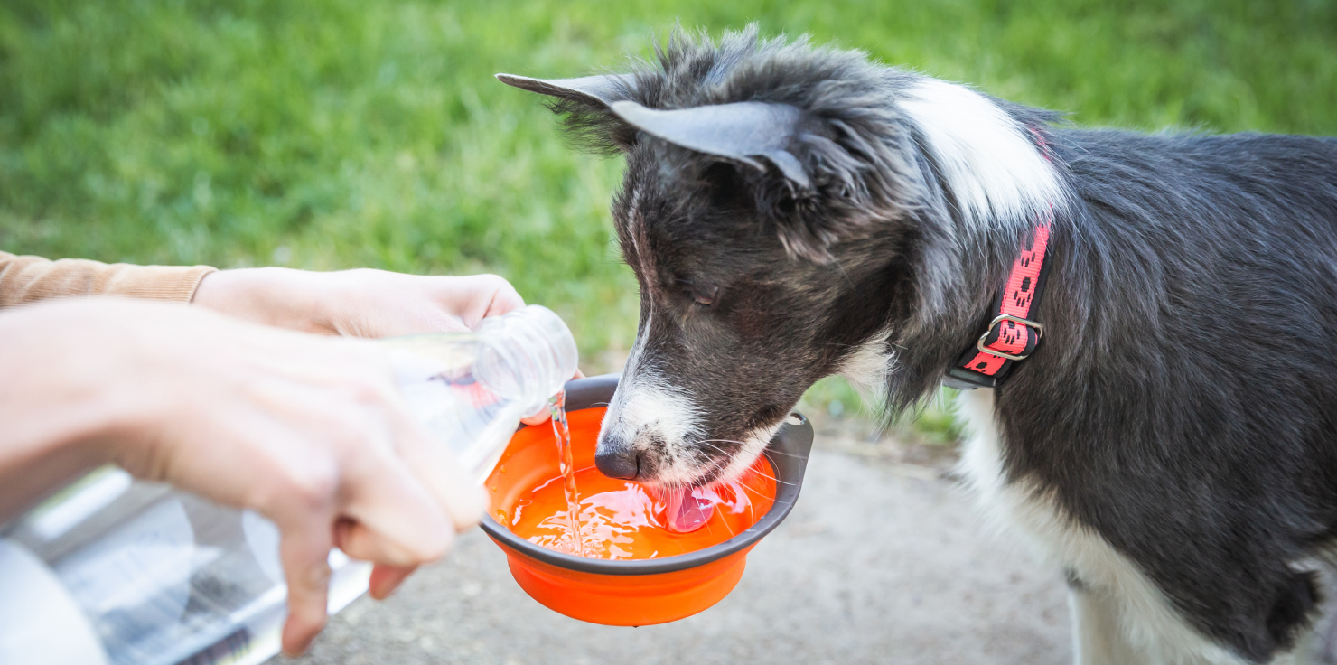 2. Ensure Proper Hydration