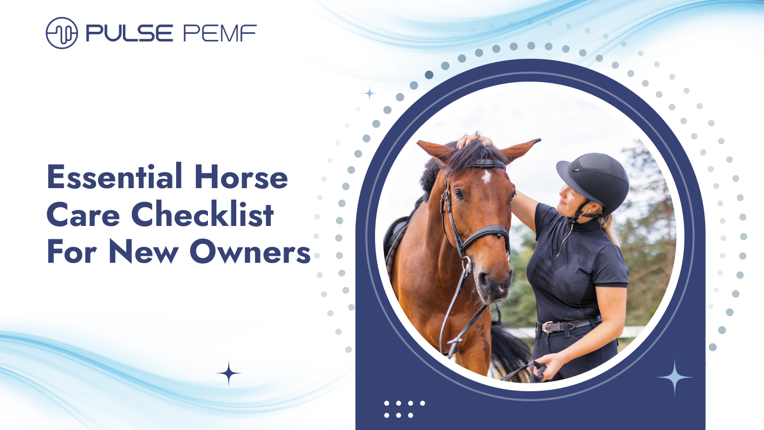 Horse care checklist