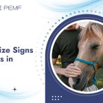 How to Recognize Signs of Stress in Horses