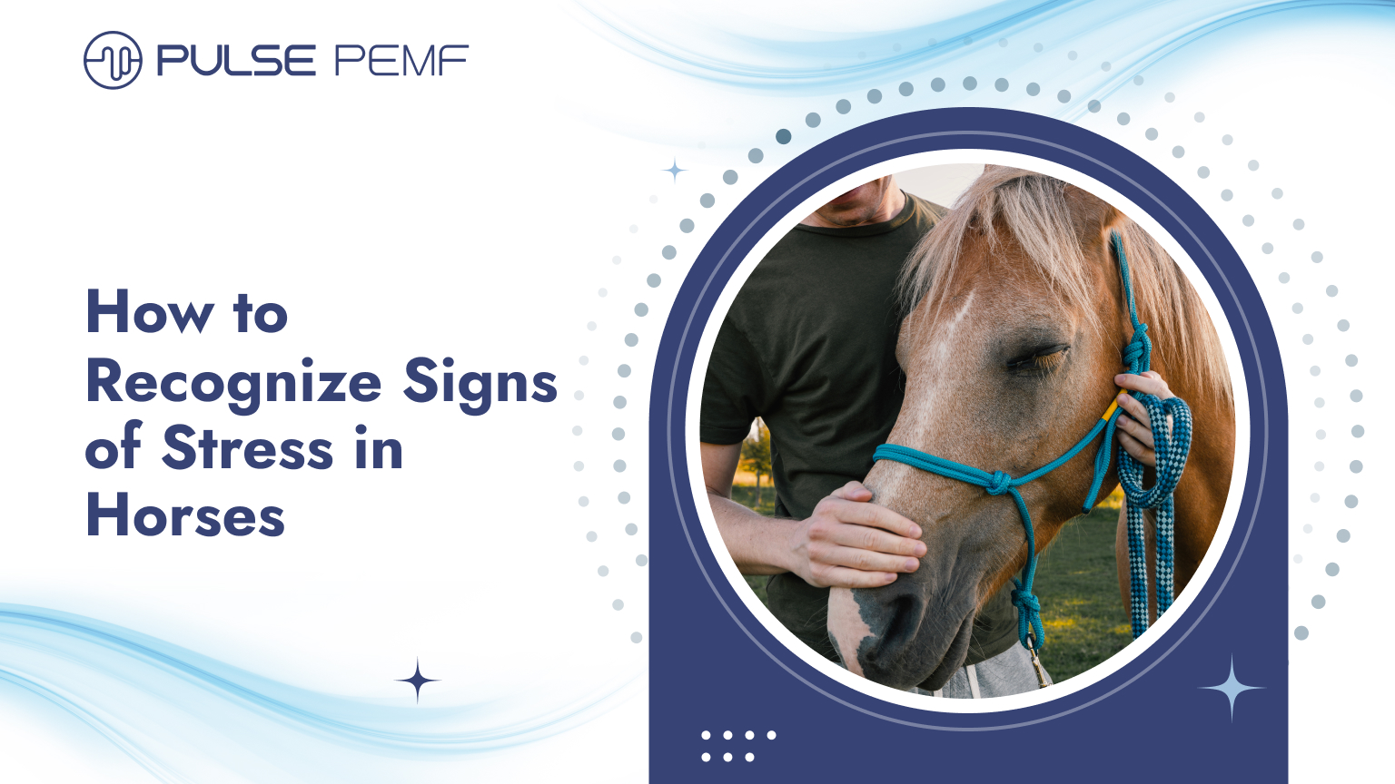 How to Recognize Signs of Stress in Horses