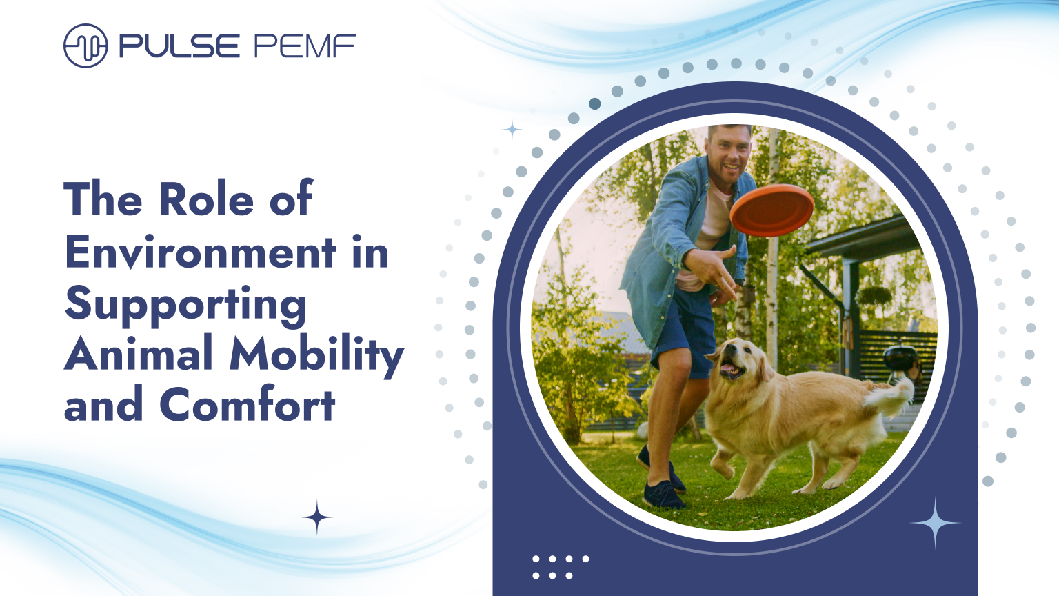 The Role of Environment in Supporting Animal Mobility and Comfort