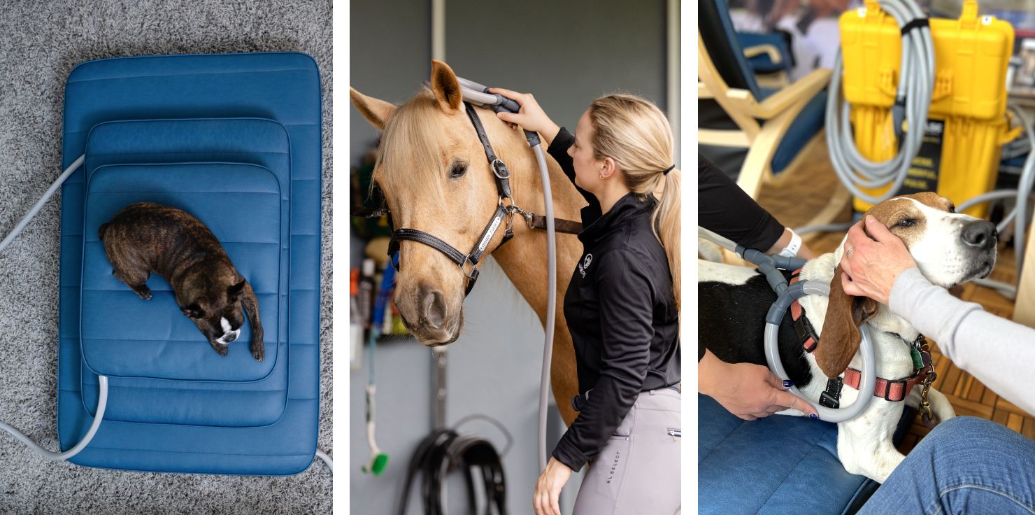 Customizing PEMF Therapy with Accessories