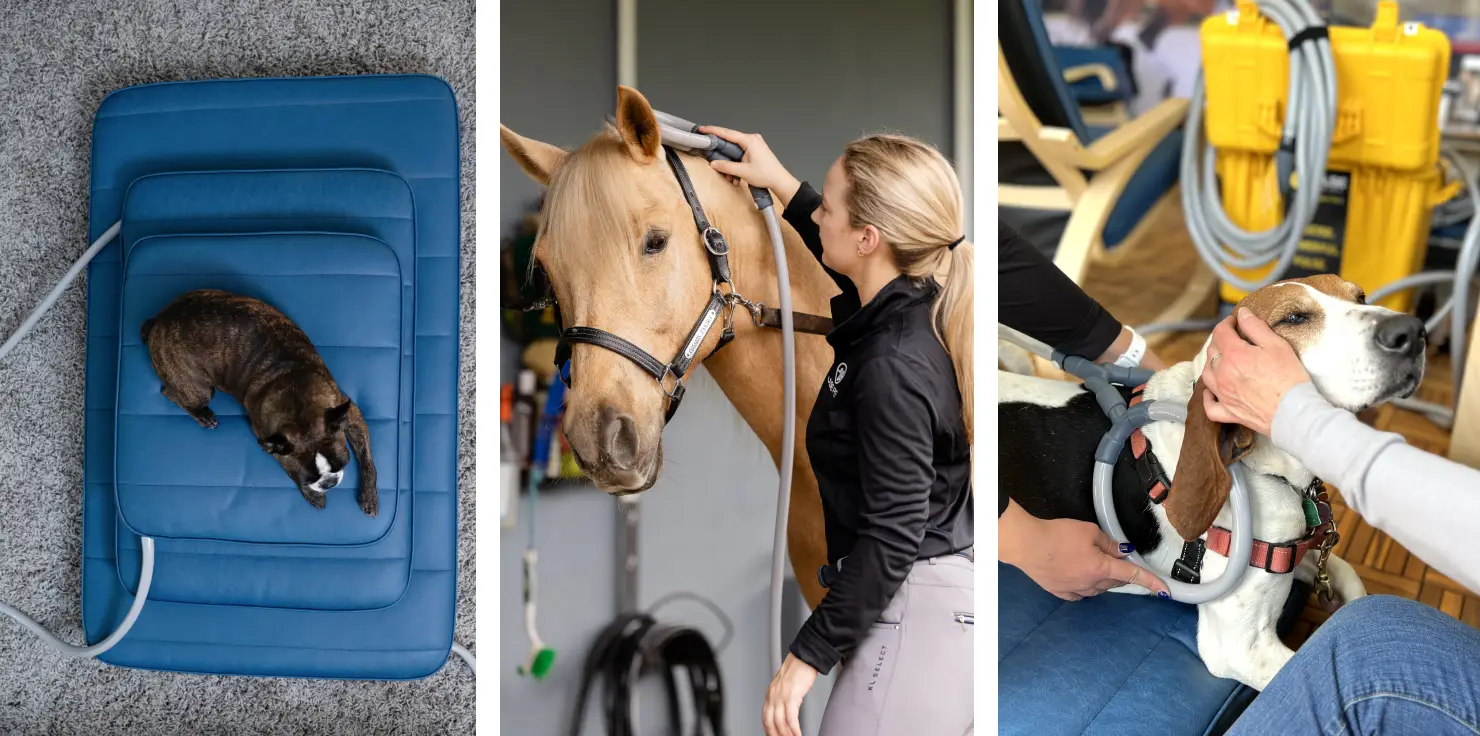 Customizing PEMF Therapy with Accessories