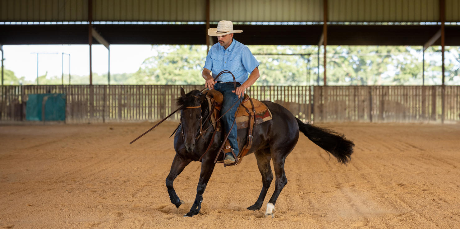 Finding and Working with a Trainer