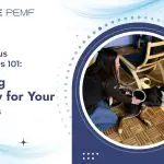 PEMF Focus Accessories 101_ Tailoring Therapy for Your Animals