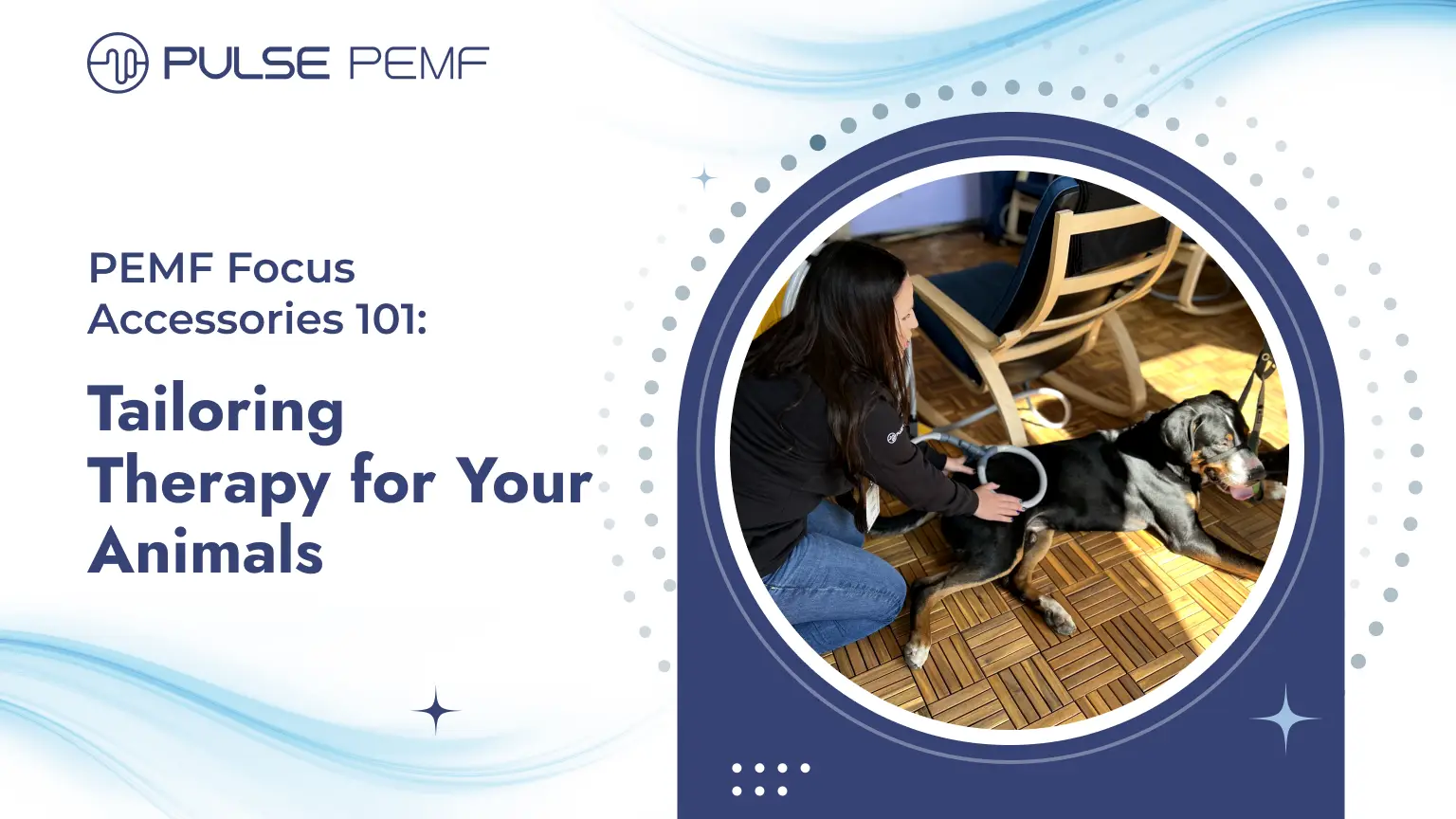 PEMF Focus Accessories 101_ Tailoring Therapy for Your Animals