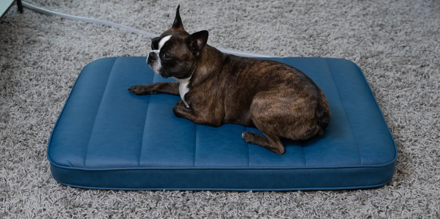 Pet Pads