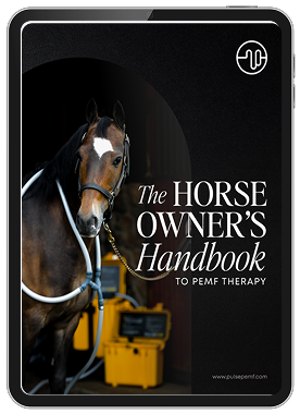 the horse owners ebook