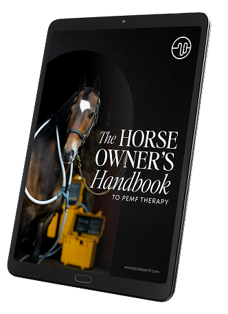 the horse owners ebook