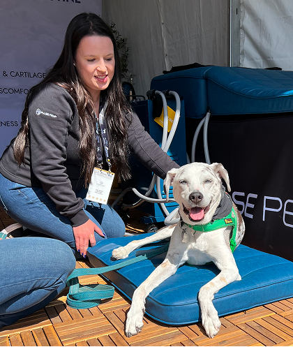 Benefits of PEMF Animal assist with muscles