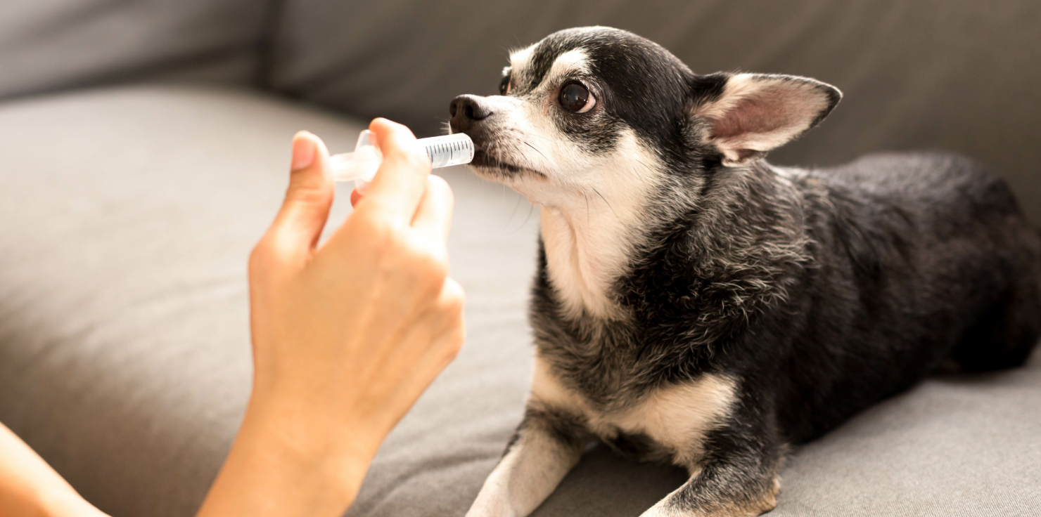 Medications for Symptom Relief