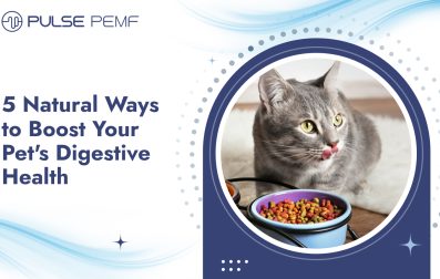 Digestive Health