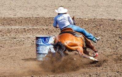 Barrel Racing What Makes a Great Barrel Horse