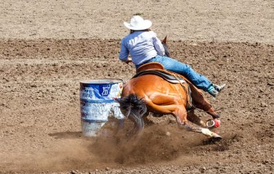 Barrel Racing What Makes a Great Barrel Horse