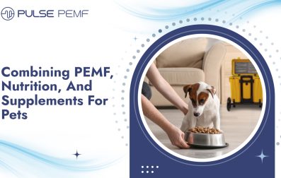 Combining PEMF, Nutrition, And Supplements For Pets