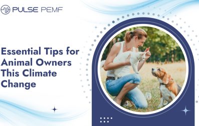 Essential Tips for Animal Owners This Climate Change