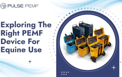 PEMF Device for Equine