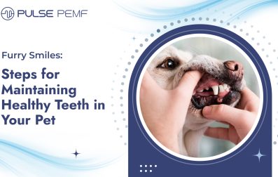 Healthy Teeth