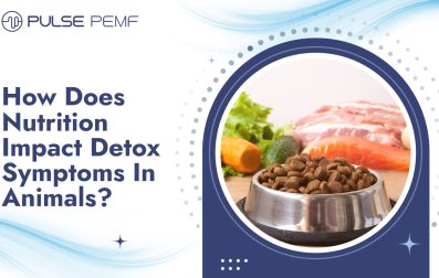 How Does Nutrition Impact Detox Symptoms In Animals