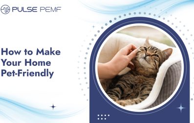 How to Make Your Home Pet-Friendly