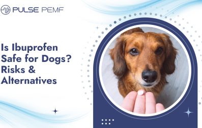 Ibuprofen for dogs