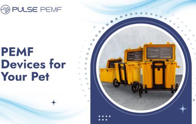PEMF Devices for Your Pet