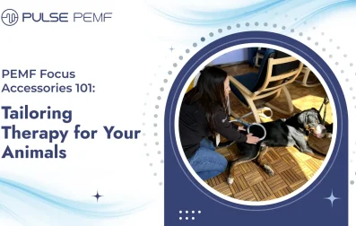 PEMF Focus Accessories 101_ Tailoring Therapy for Your Animals
