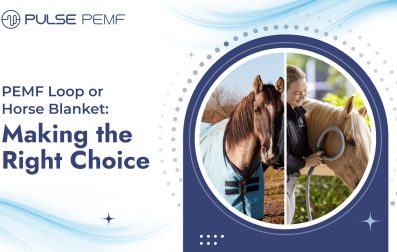 PEMF Loop or Horse Blanket_ Making the Right Choice