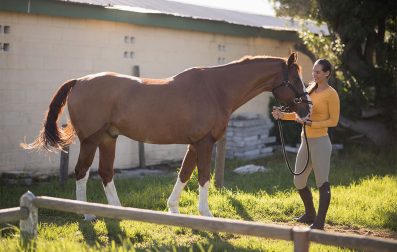Woman standing next to horse in stable.