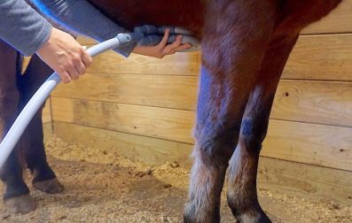Pulse_PEMF_Equine_Accupressure