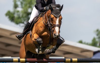 Exercise Physiology and PEMF for the Equine Athlete: A comprehensive guide to optimizing performance and recovery.