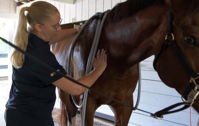 An image of a woman pulsing a horse using a Pulse PEMF animal loop