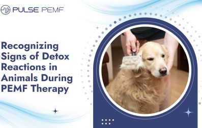 Detox Reaction