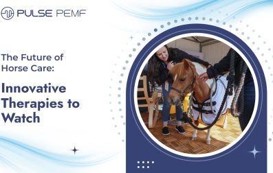 The Future of Horse Care