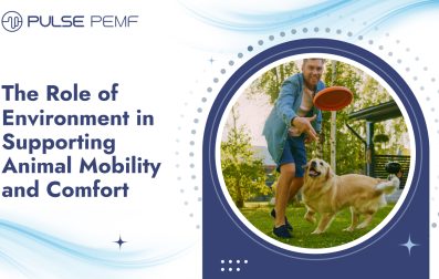 The Role of Environment in Supporting Animal Mobility and Comfort