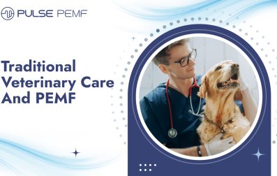 Traditional Veterinary Care And PEMF