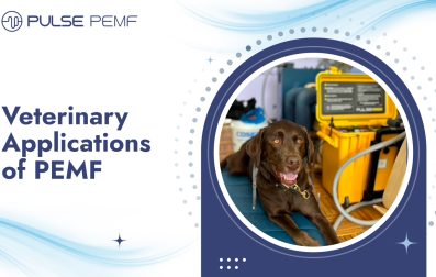 Veterinary Applications of PEMF